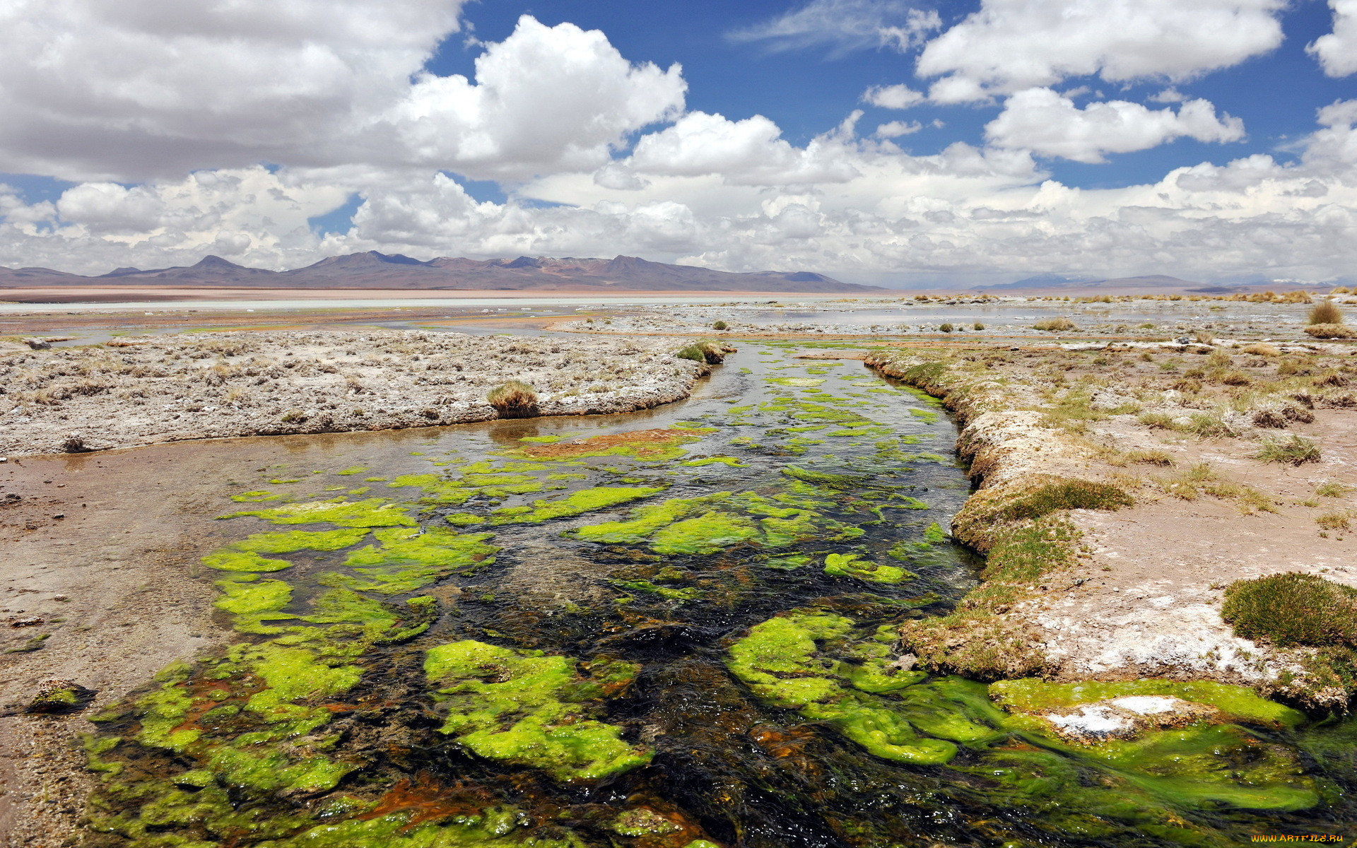 desert, , , , , , , 